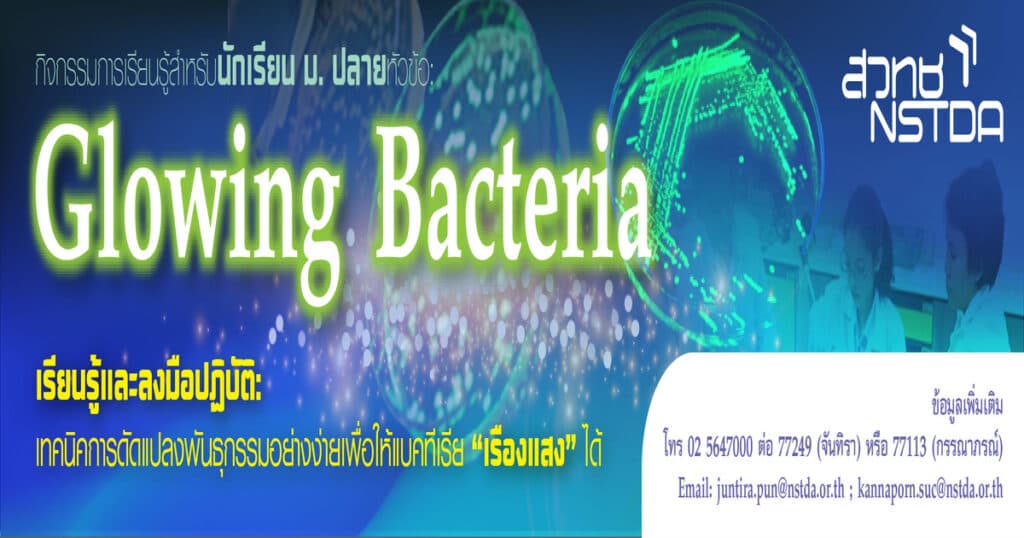 กิจกรรมฝึกอบรม "แบคทีเรียเรืองแสง"-สวทช. (Genetics)